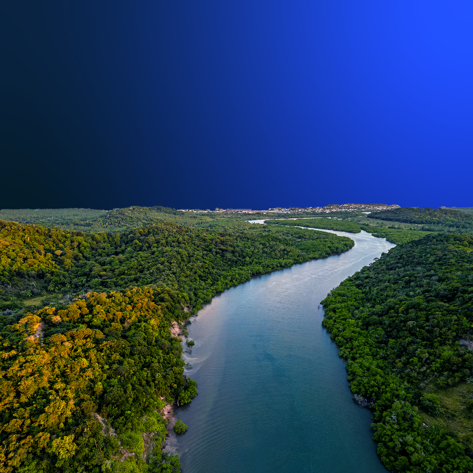 Aerial view of the Atlantic forest river in Brazil