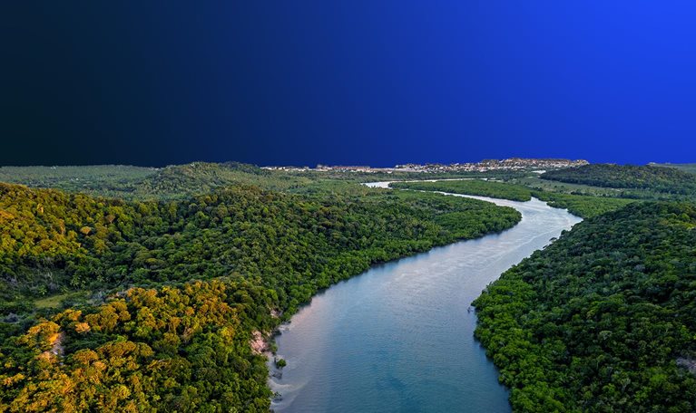 Aerial view of the Atlantic forest river in Brazil