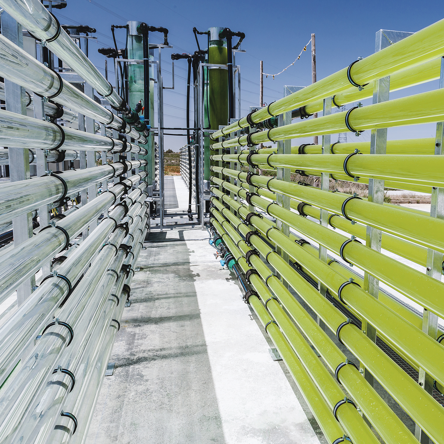 How negative emissions can help organizations meet their climate goals