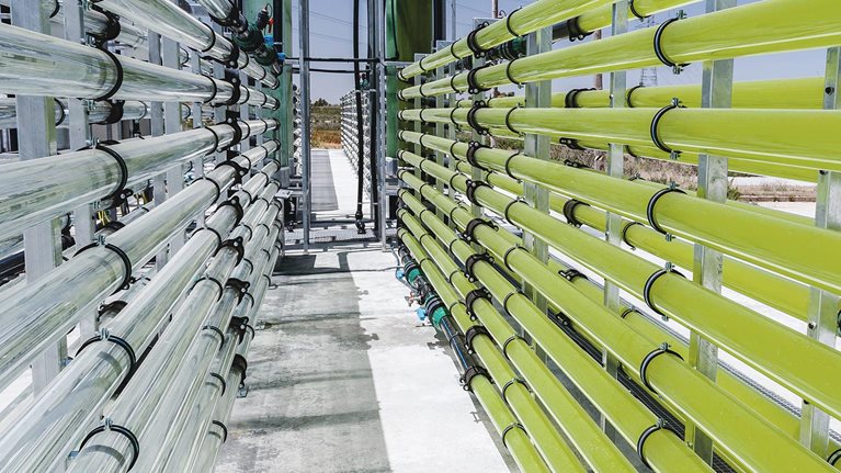 How negative emissions can help organizations meet their climate goals