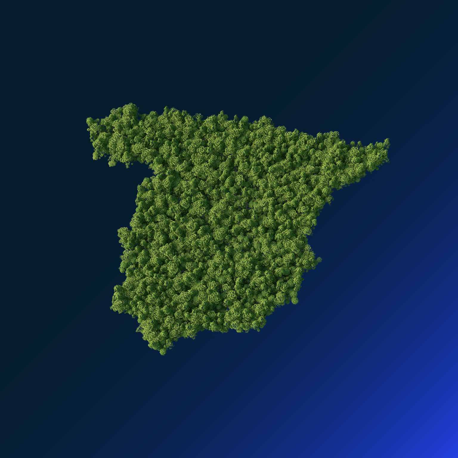 forest in the Spain map shape - stock illustration