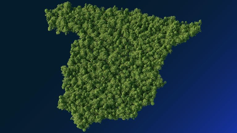 forest in the Spain map shape - stock illustration