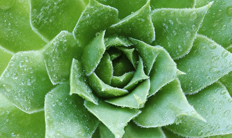 Organizing for sustainability success: Where, and how, leaders can start