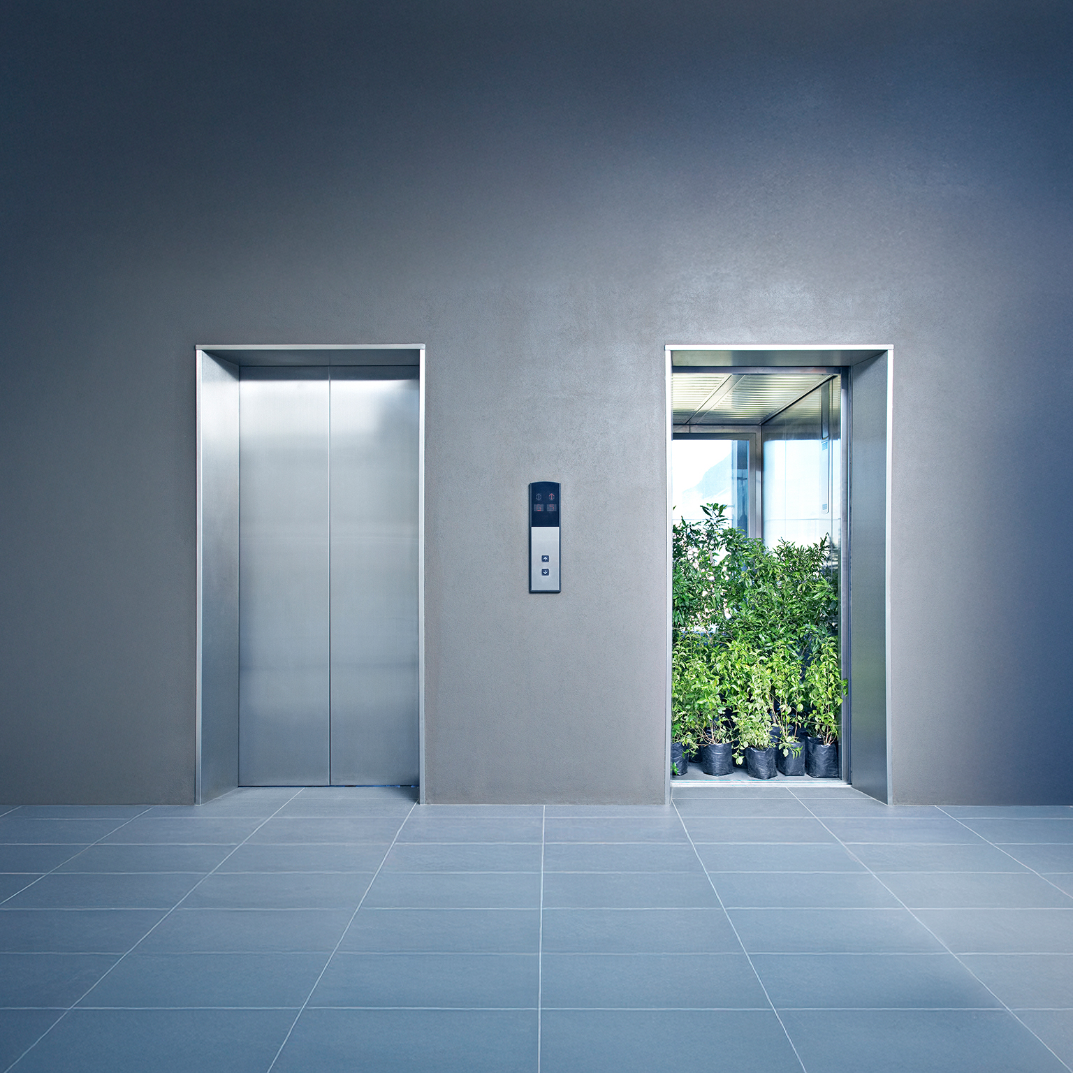 Office elevator full of plants