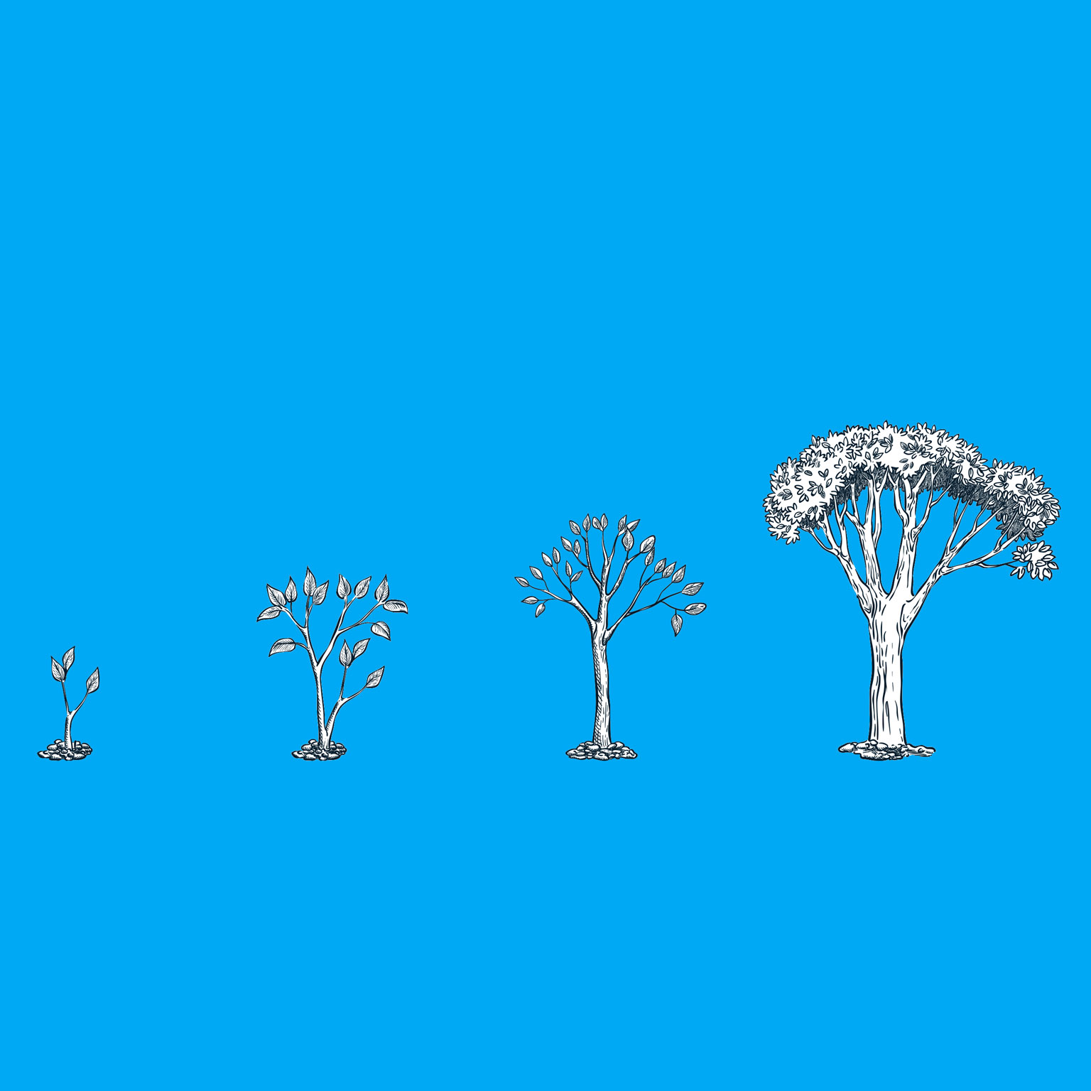 The ESG premium: New perspectives on value and performance