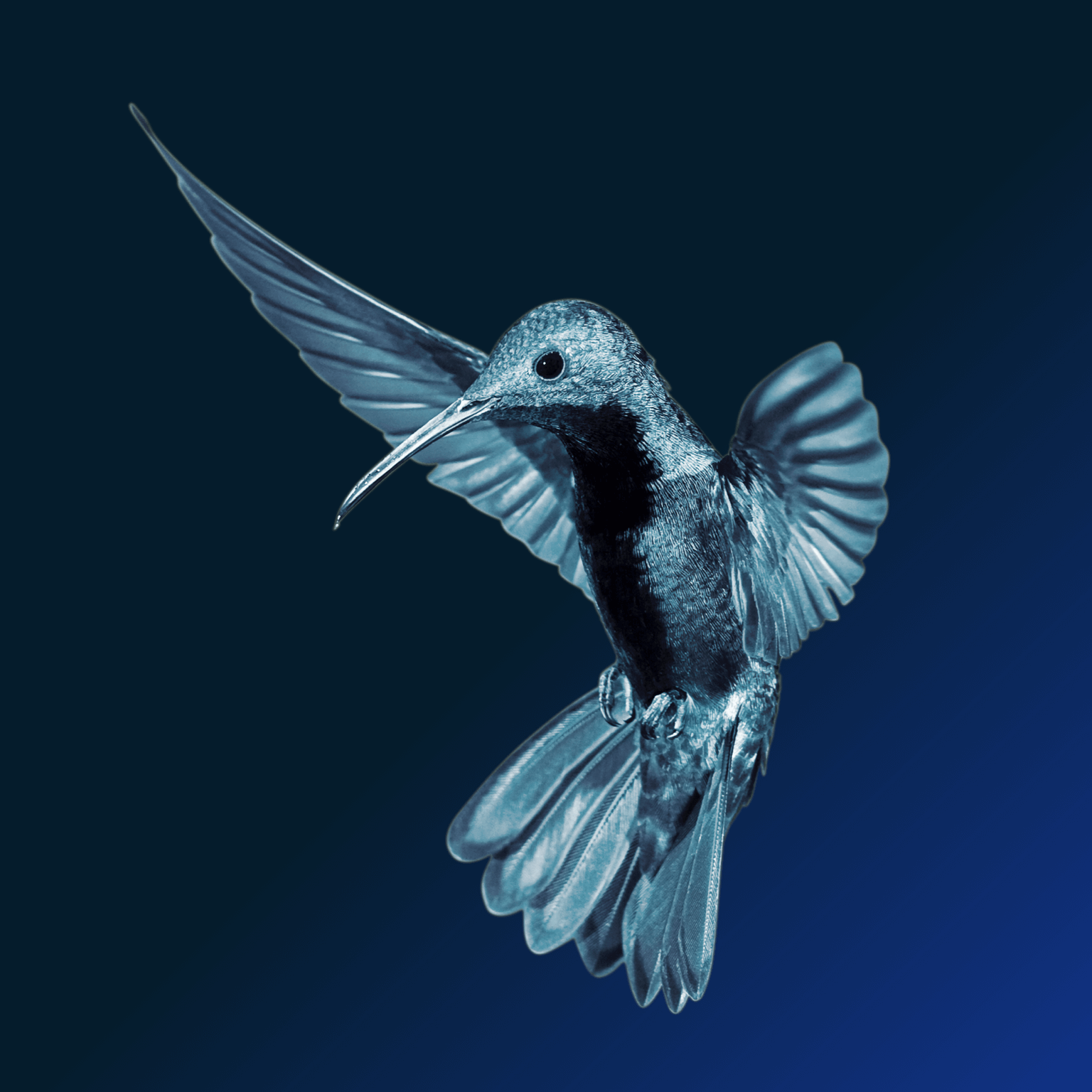 Valuing nature conservation