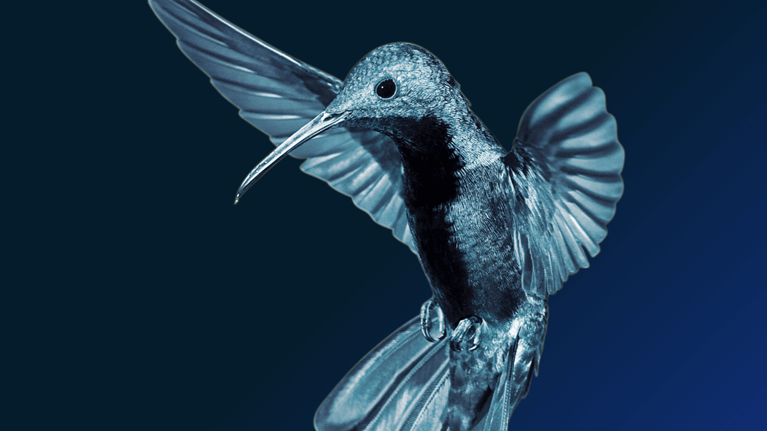 Valuing nature conservation