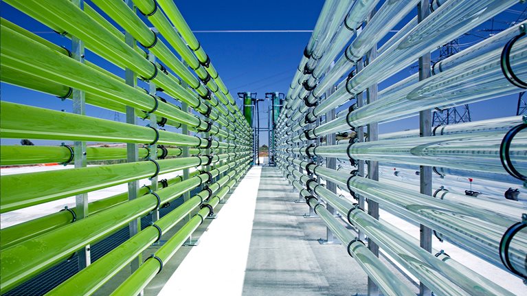 Green business building and climate tech