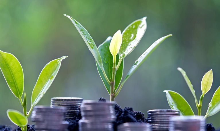 Several stacks of coins with green tree growth sprouting behind them; Concept of financial growth.