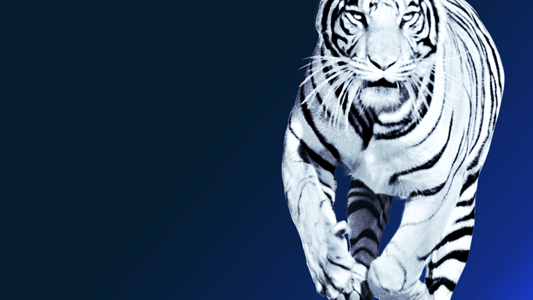 How Asia can boost growth through technological leapfrogging