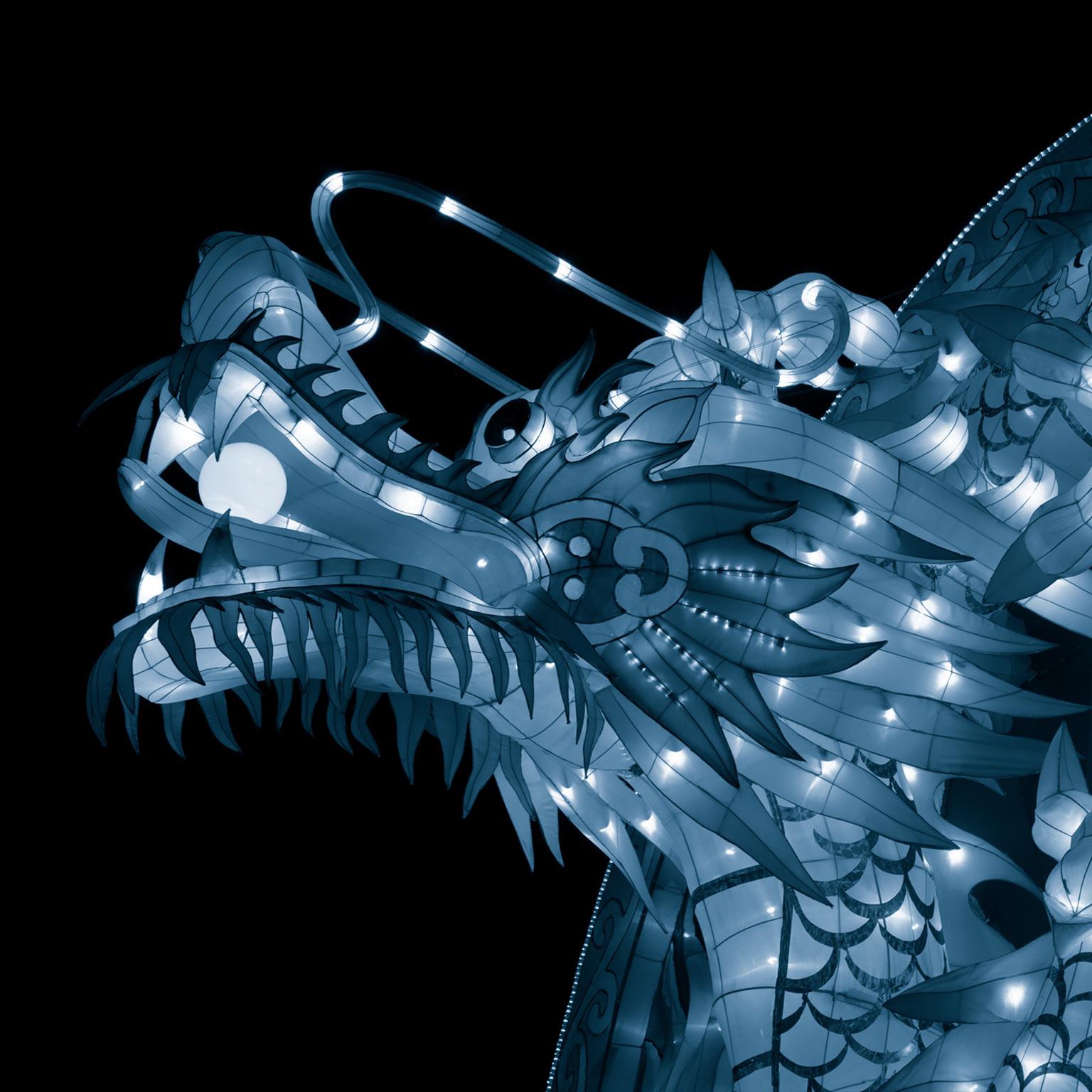 China-CEO-Thumbnail-1536x1536-250_Standard