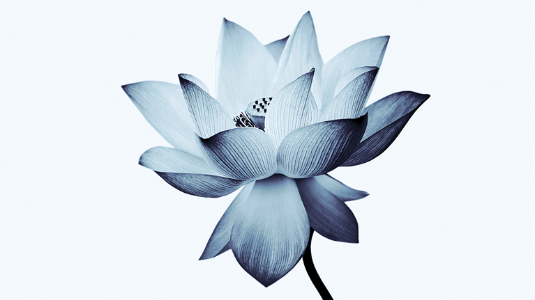 A $300 billion opportunity: Serving the emerging Black American consumer