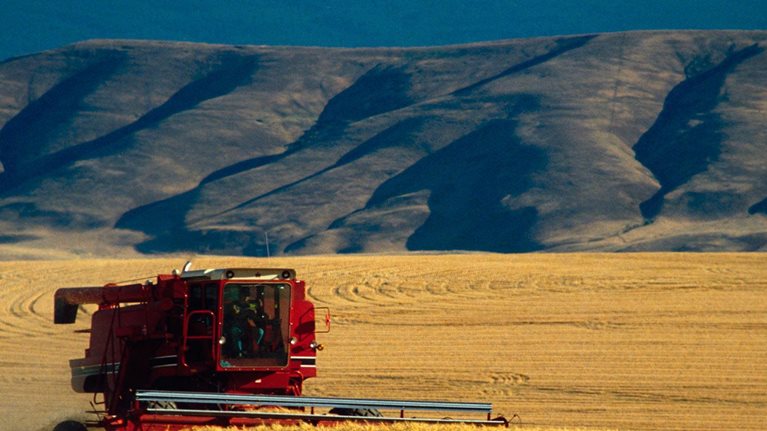 Q_Growth_1536x1536_Original