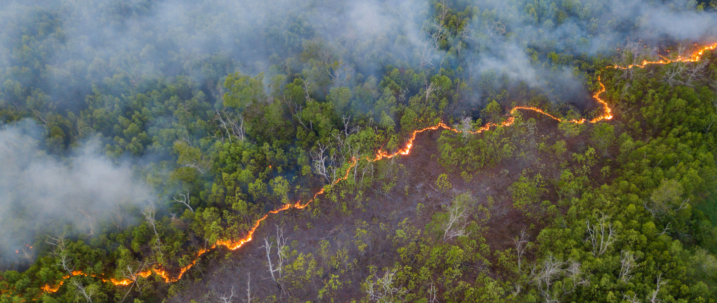 Tackling climate and pandemic risk in Asia for the world