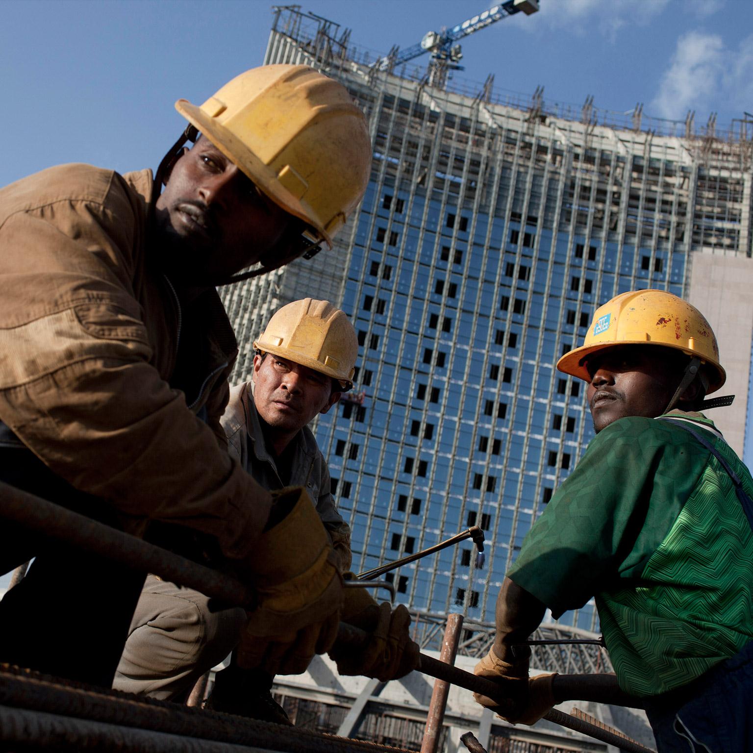 MGI_Lions_go_global_1536x1536_Original