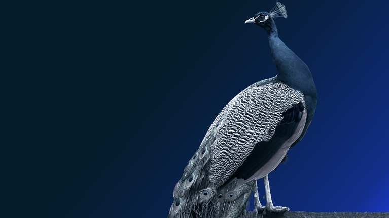 India’s turning point: An economic agenda to spur growth and jobs