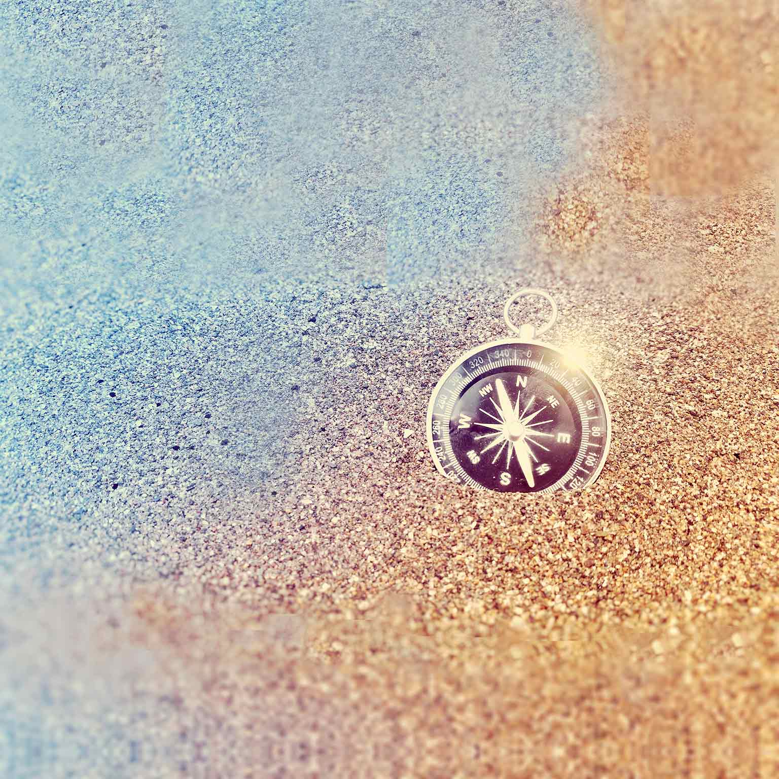 Navigating a world of disruption