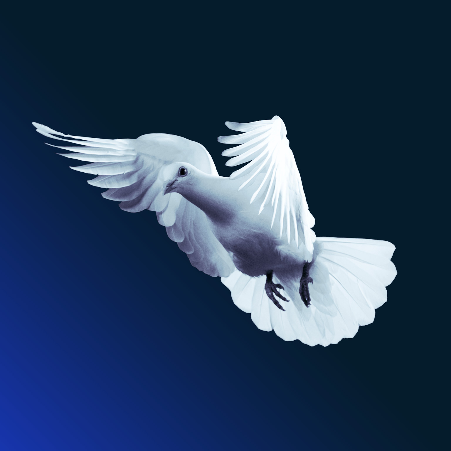 ‘And now win the peace’: Ten lessons from history for the next normal