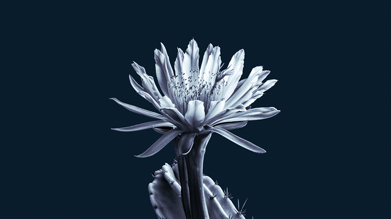 From a room called fear to a room called hope: A leadership agenda for troubled times