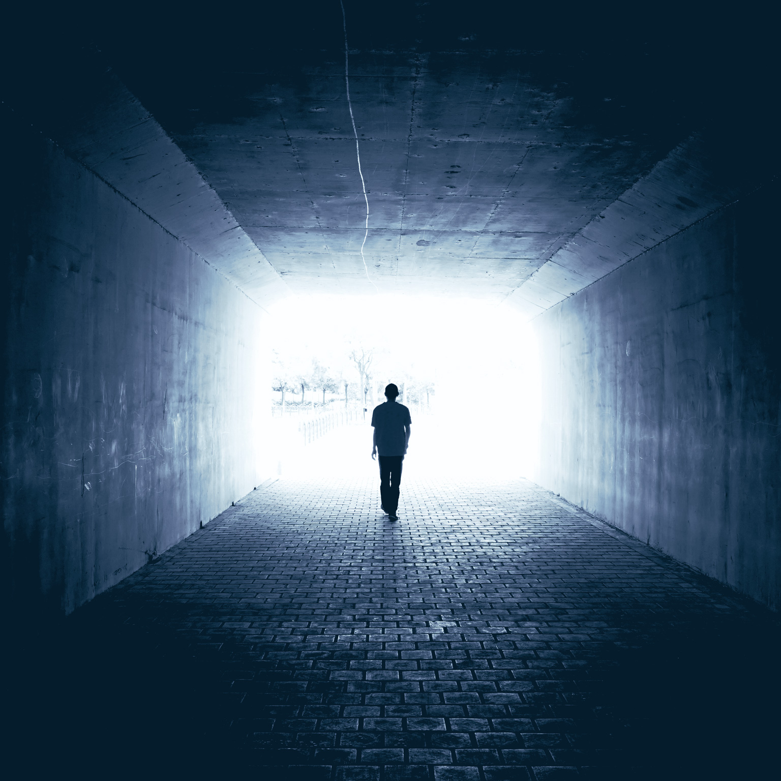 The future is not what it used to be: Thoughts on the shape of the next normal