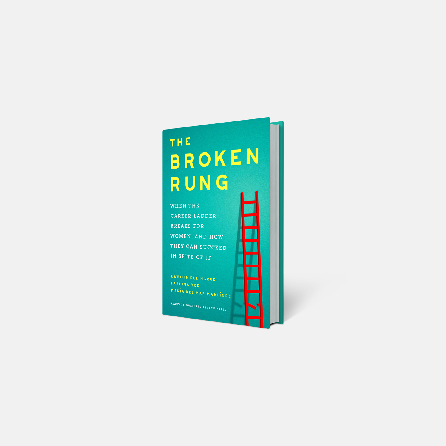 3D cover of The Broken Rung book.