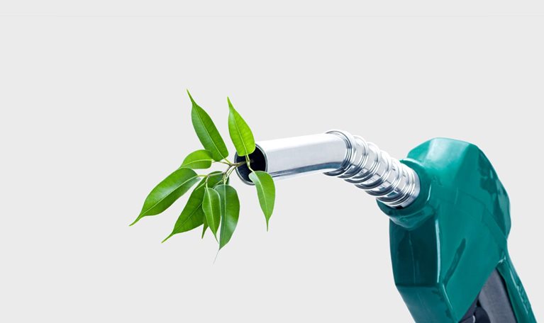 A green gas nozzle is shown against a light gray background with a leafy green plant coming out of the metal nozzle.