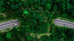 Overhead view of a road running through a forest of trees
