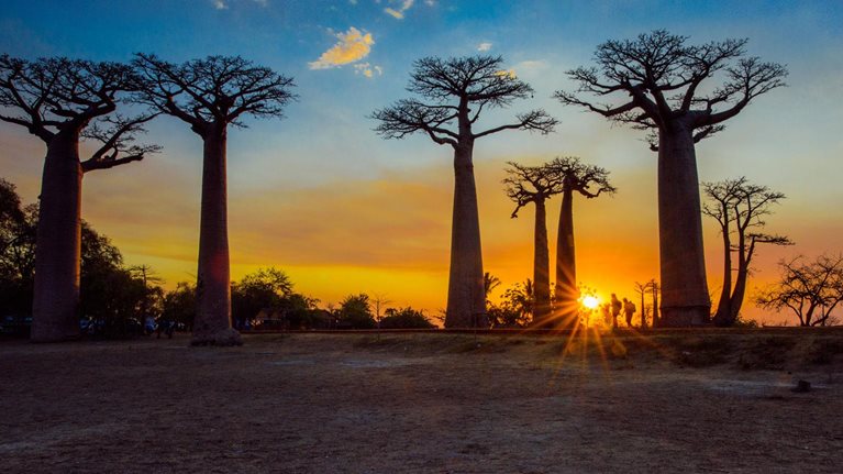 Leadership lessons from Africa’s trailblazers