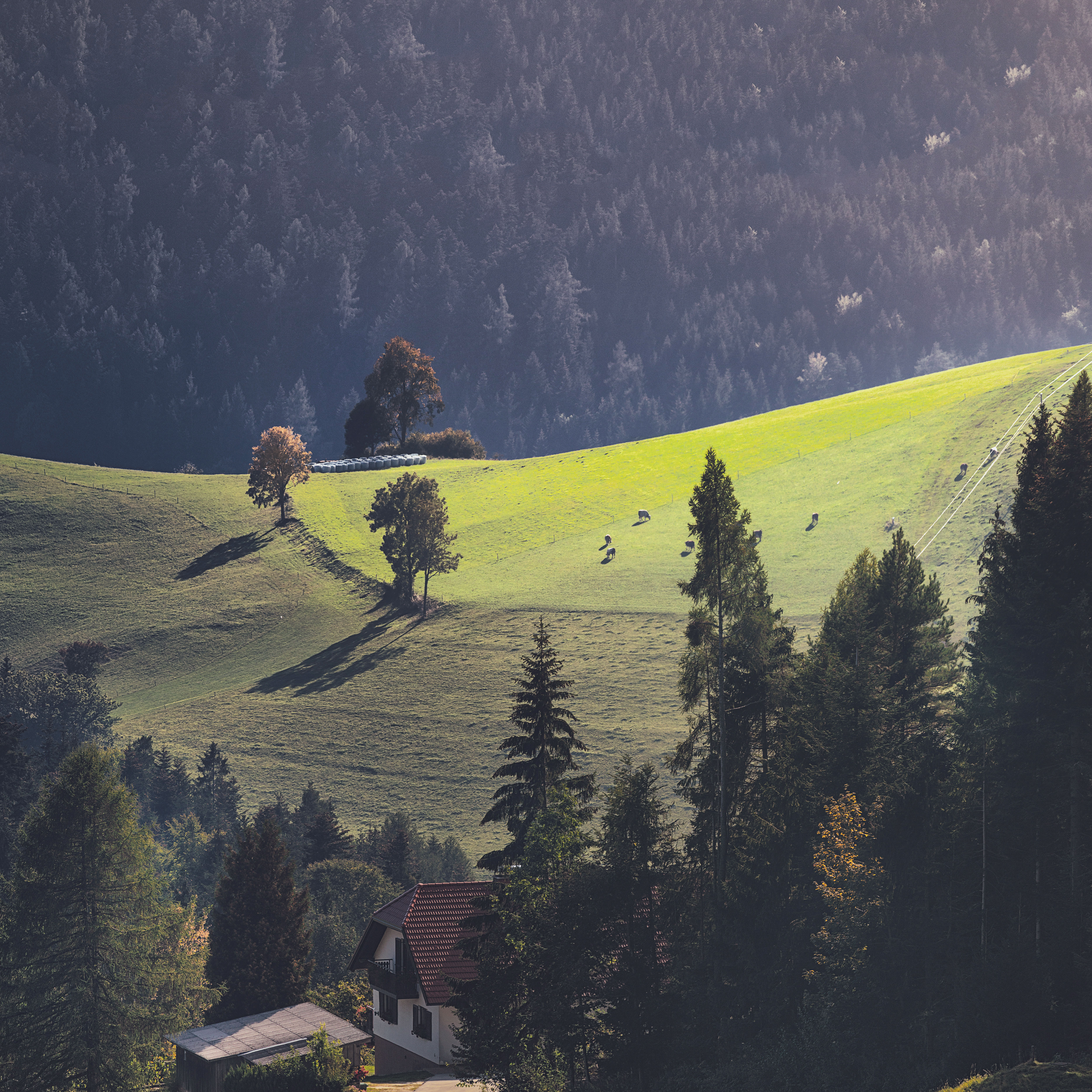 Agriculture plays a critical role in limiting the impact of climate change