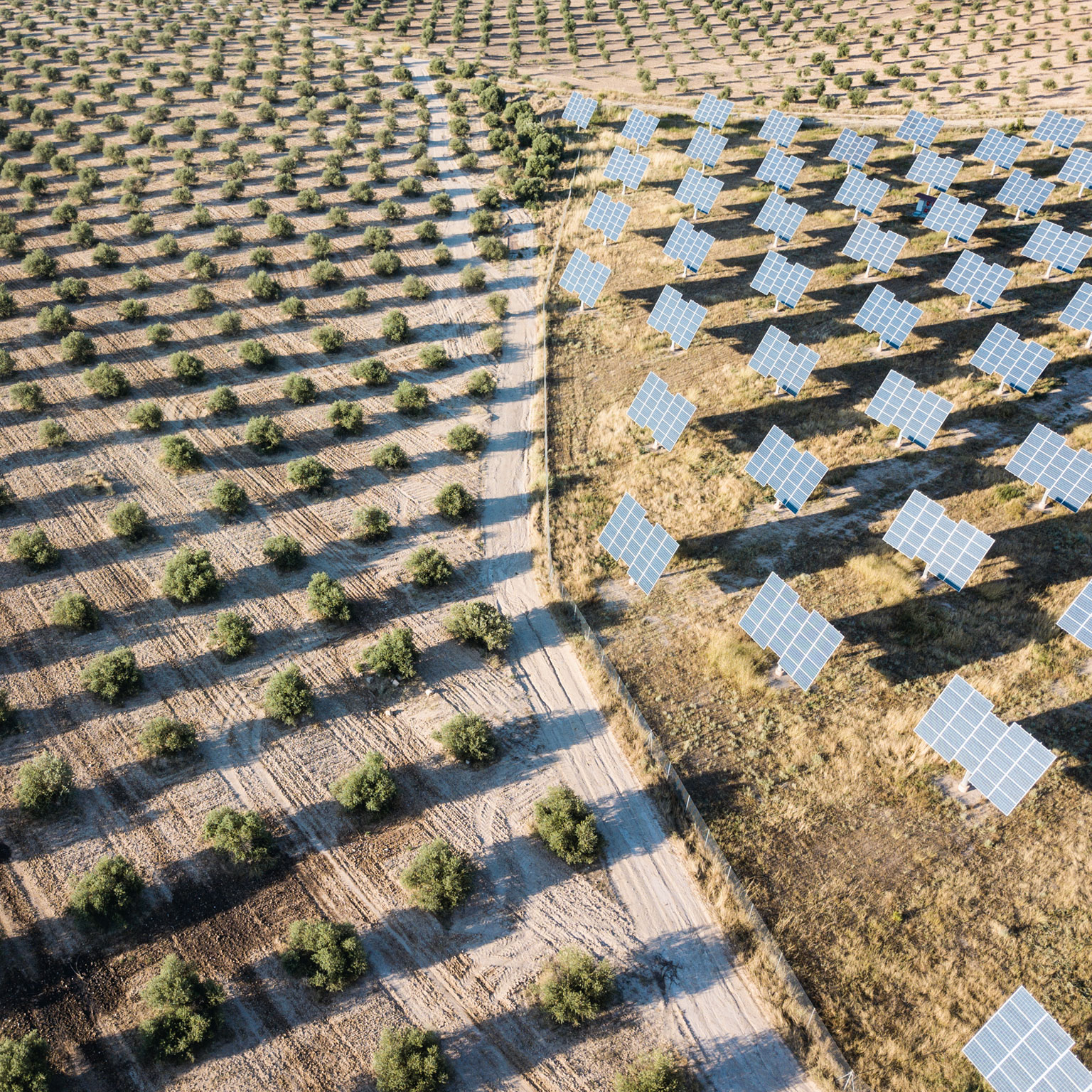 How the agriculture sector can prepare for disruption in the food value chain