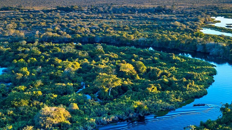 A winding river cuts through a vibrant green landscape, bathed in the golden light of sunset.