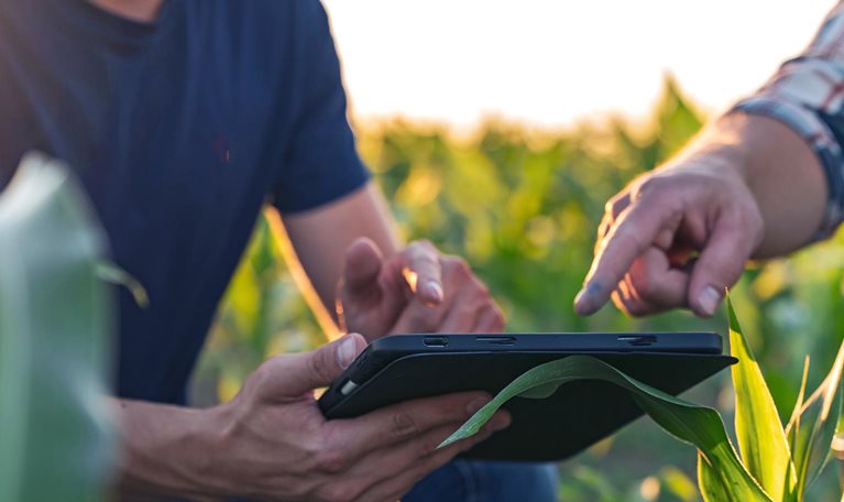 Male farmer and agronomist using digital tablet in corn field