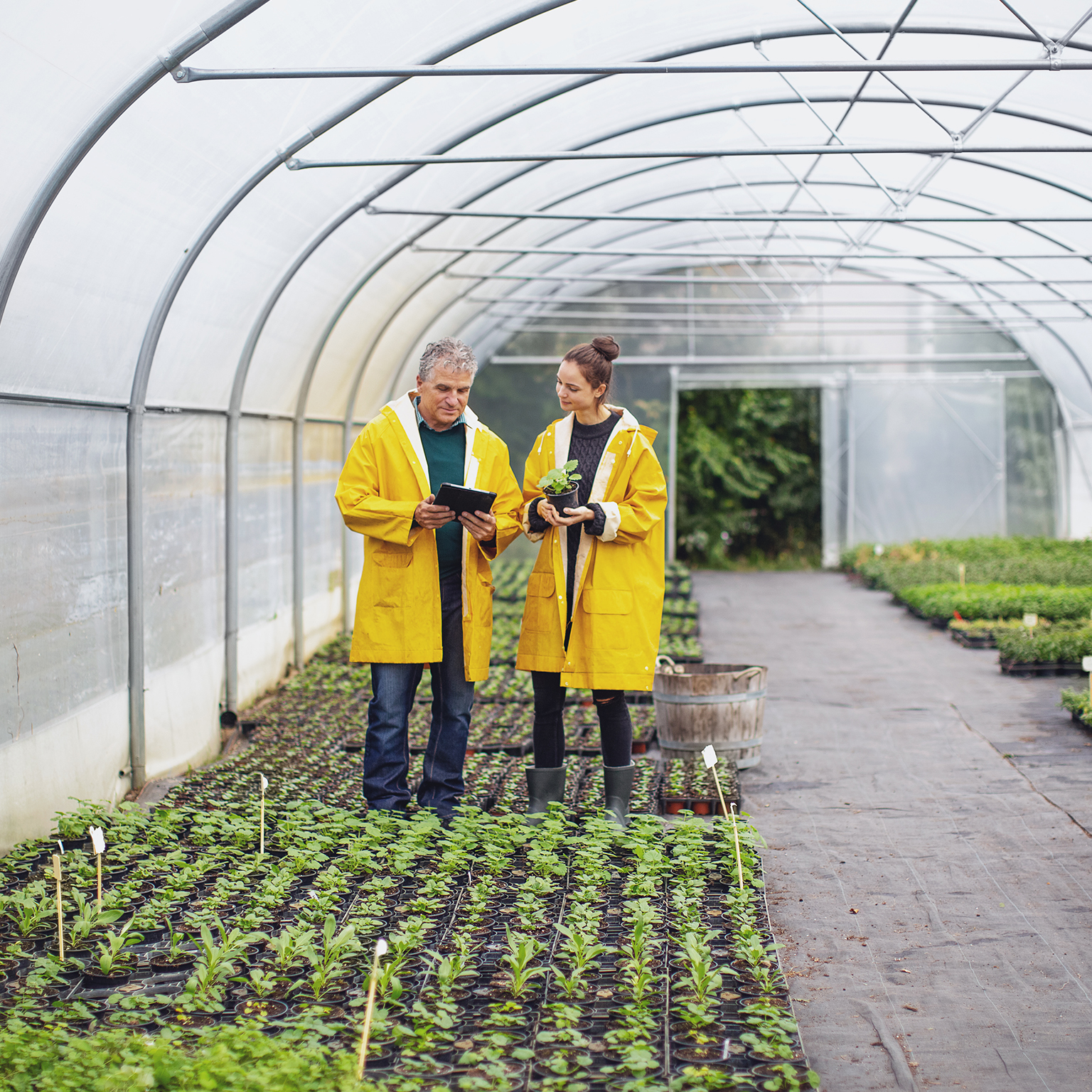 Two people at a plant nursery