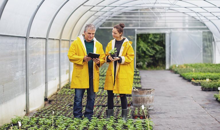 Two people at a plant nursery