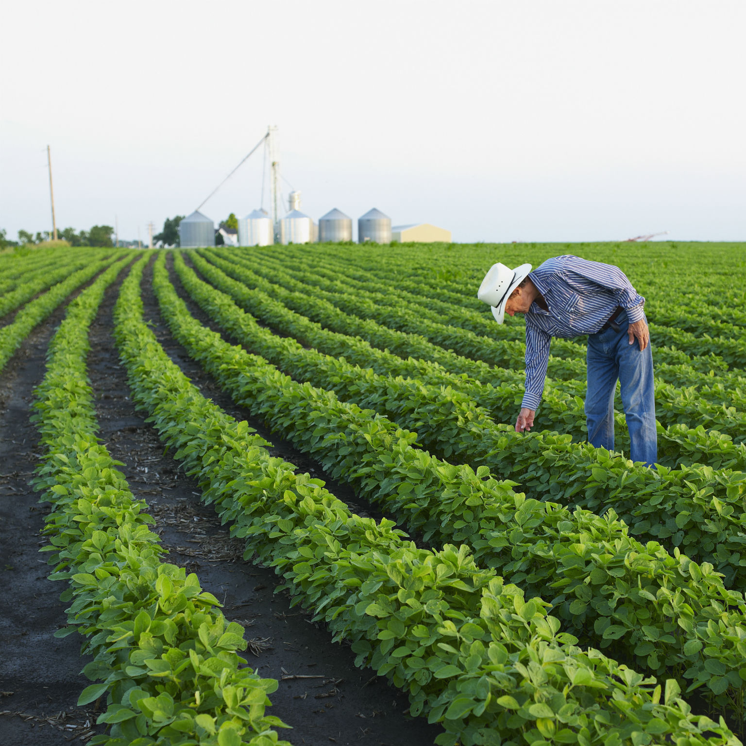 How to incentivize food systems to meet the realities of the 21st century