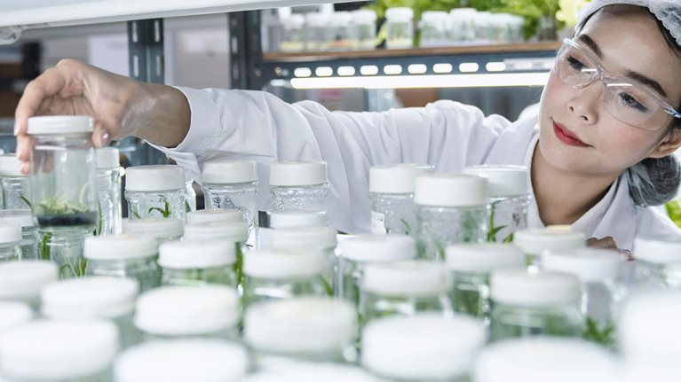 Needle in a haystack: Patents that inspire agricultural innovation