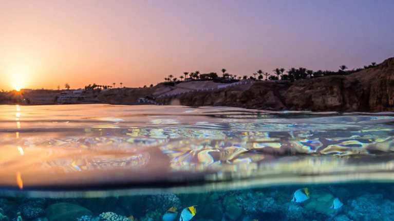 half underwater reef with fishes swimming, half above water with lighthouse and sunset - photo