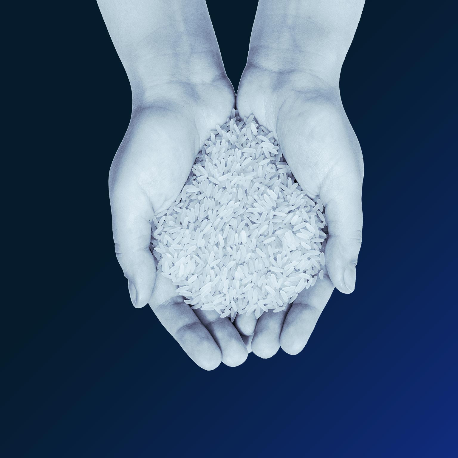 Reducing agriculture emissions through improved farming practices