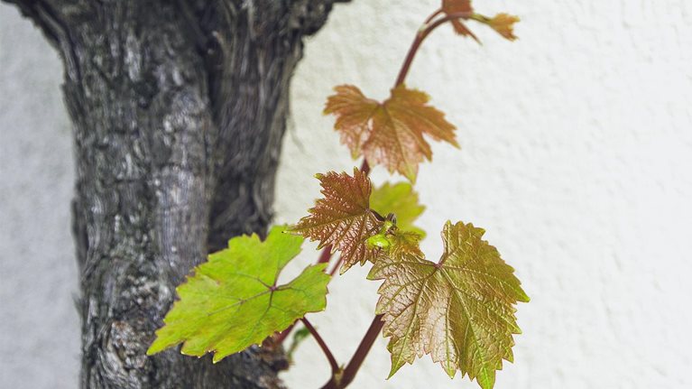 Beating the cycle: Building resilience in chemicals