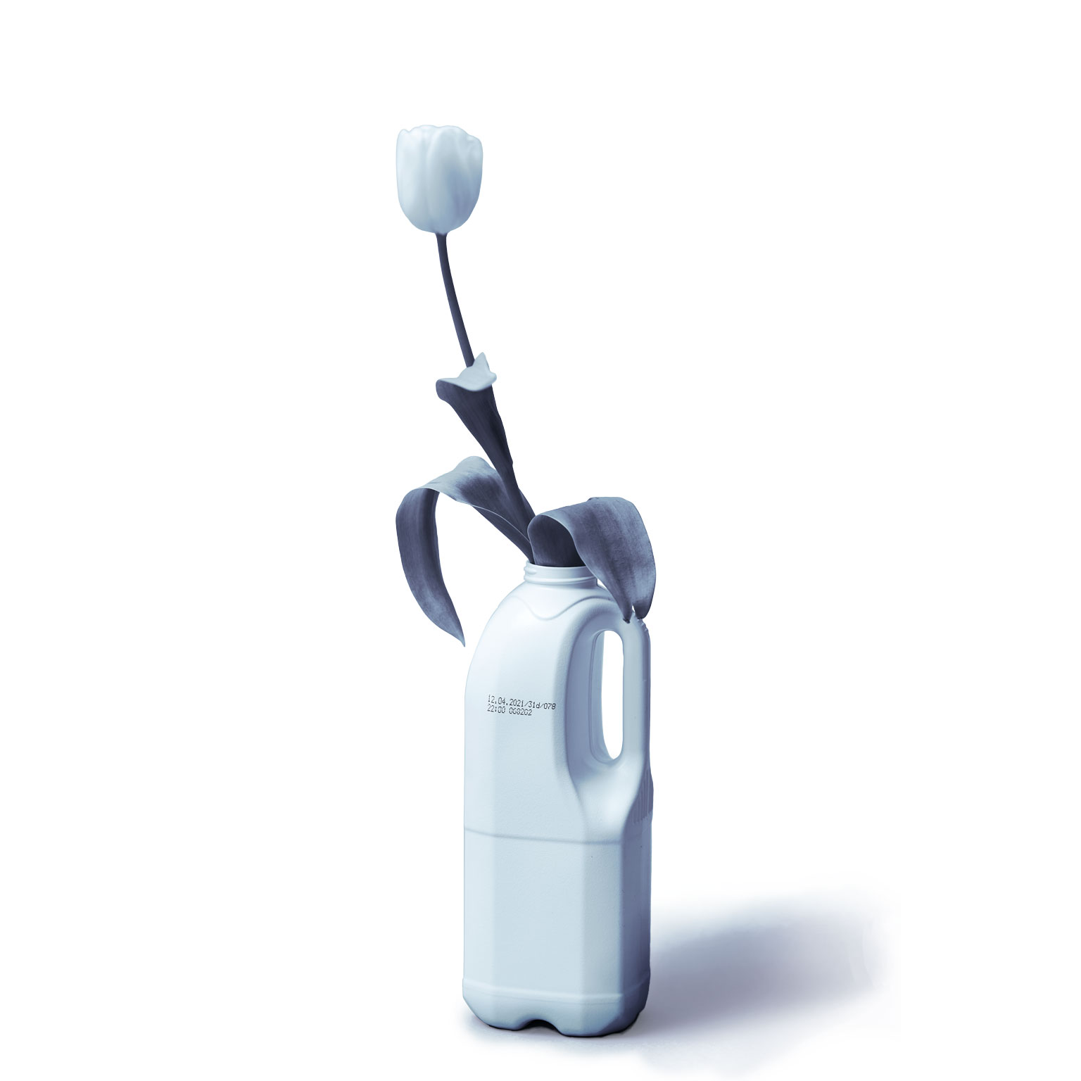 New life of recycled plastic bottle