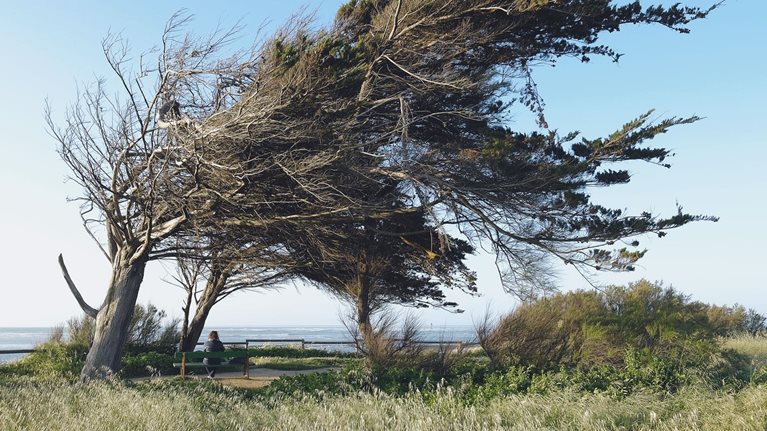 Resilience in chemicals: How to prepare for the next downturn