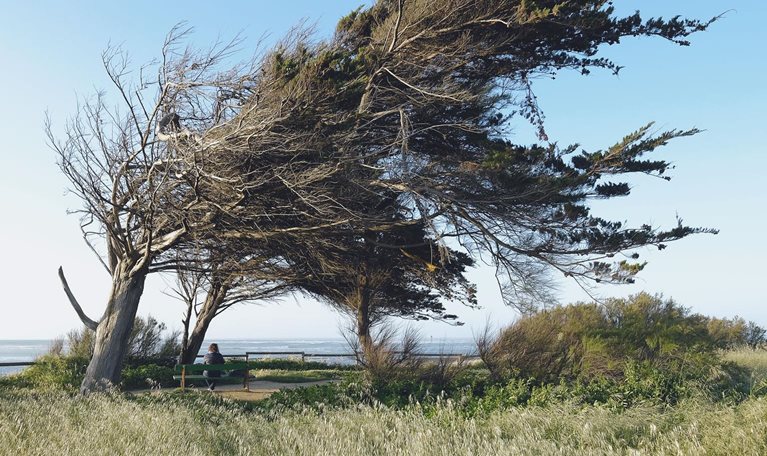 Resilience in chemicals: How to prepare for the next downturn