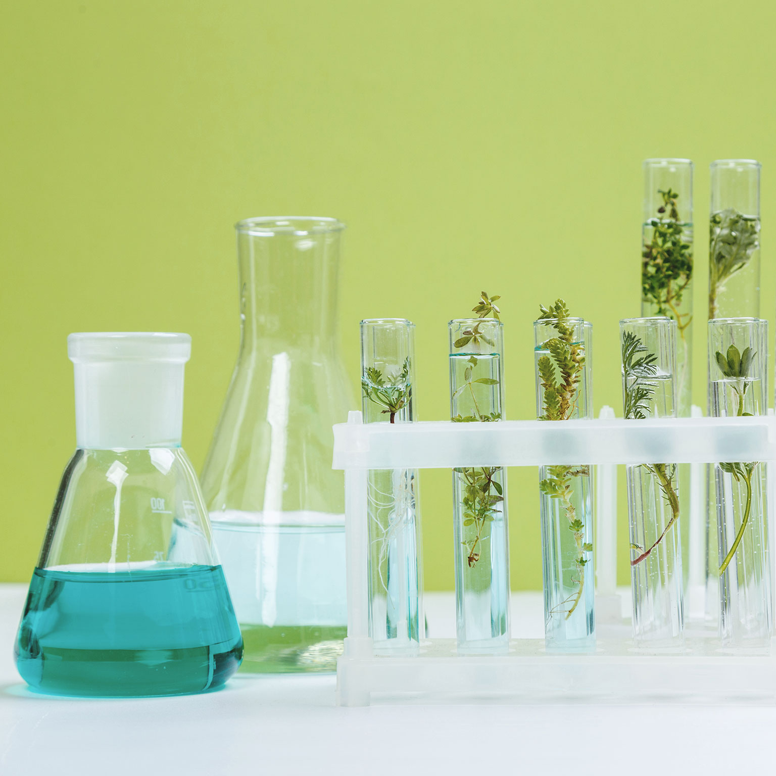 photo beakers and test tubes