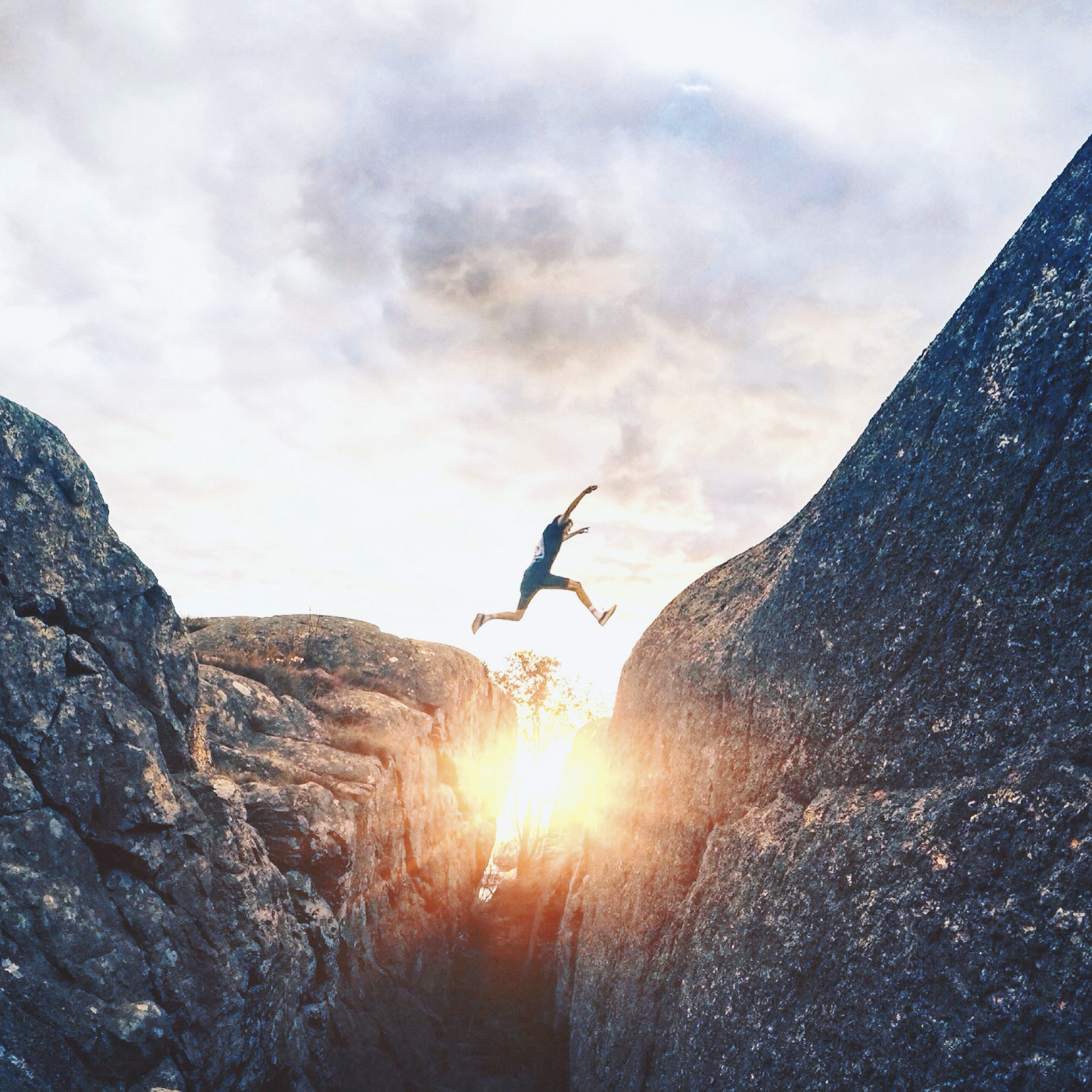 Consumer organization and operating models: Bold moves for the next normal