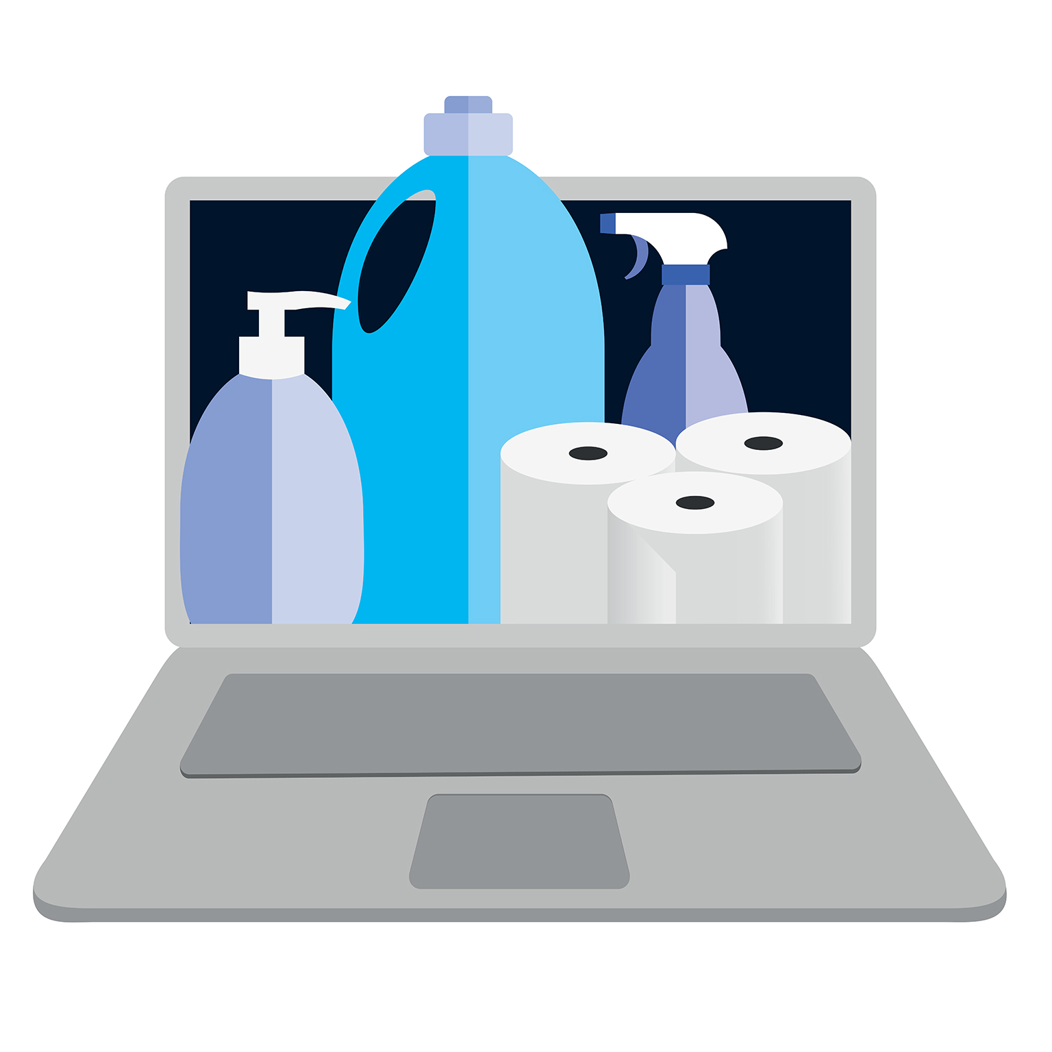 laptop screen displaying consumer products