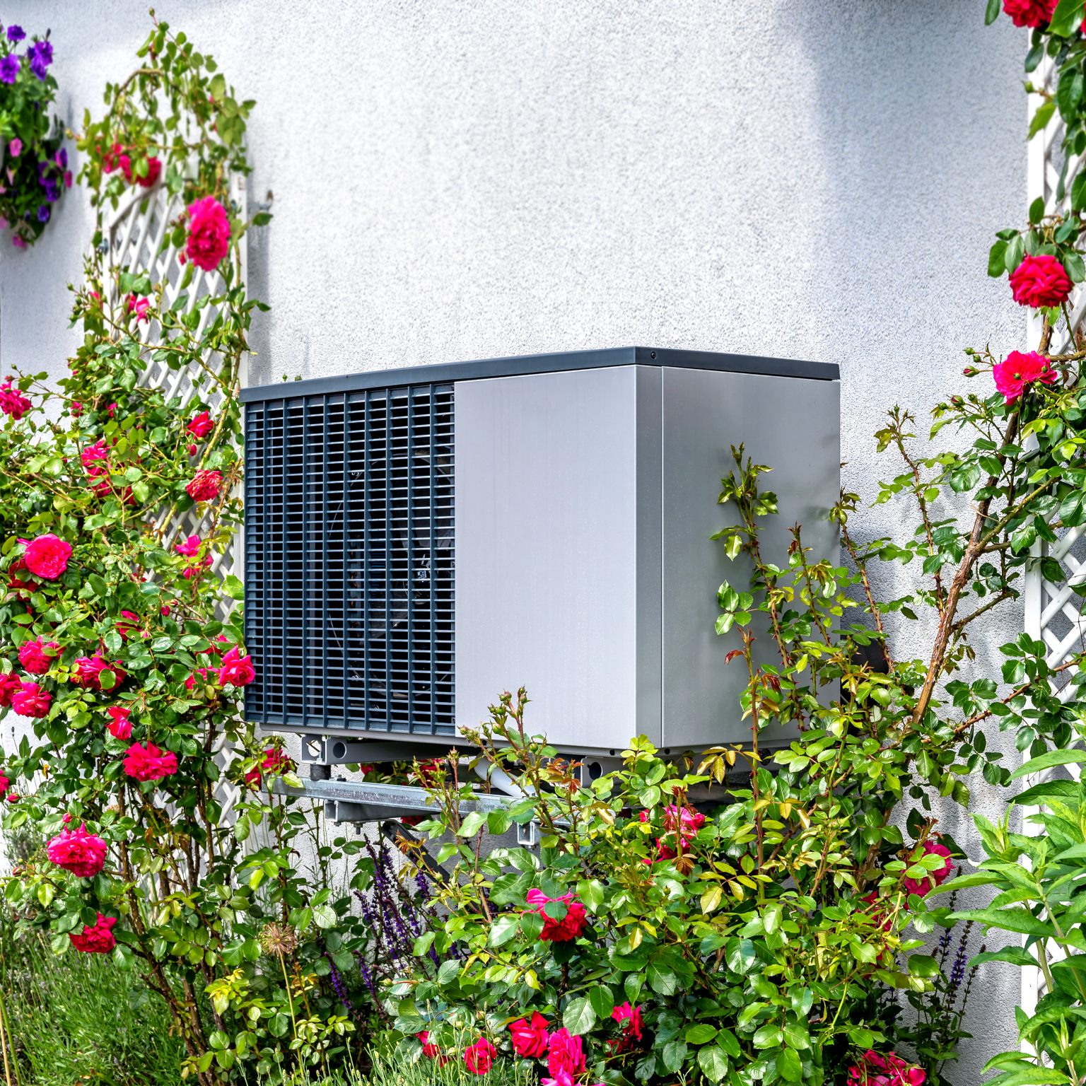 Outdoor unit of heat pump heating of residential house framed by roses