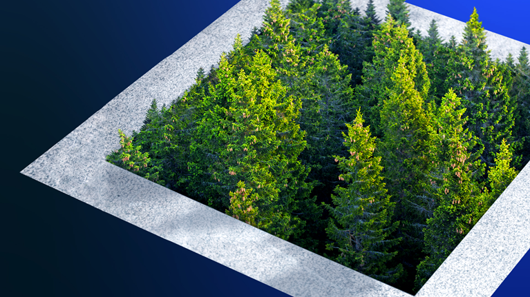 Environmental concept: pine forest growing out of a city concrete. - stock photo