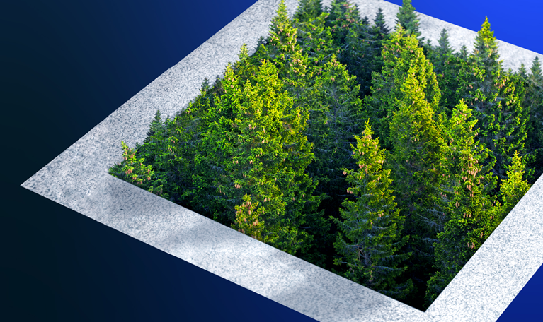 Environmental concept: pine forest growing out of a city concrete. - stock photo
