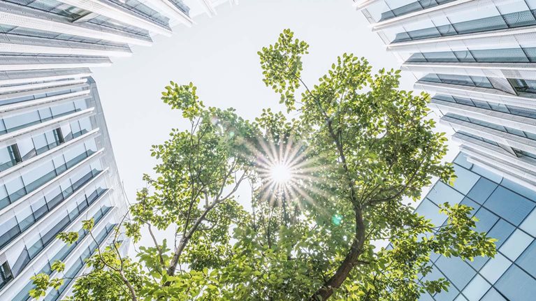 Call for action: Seizing the decarbonization opportunity in construction