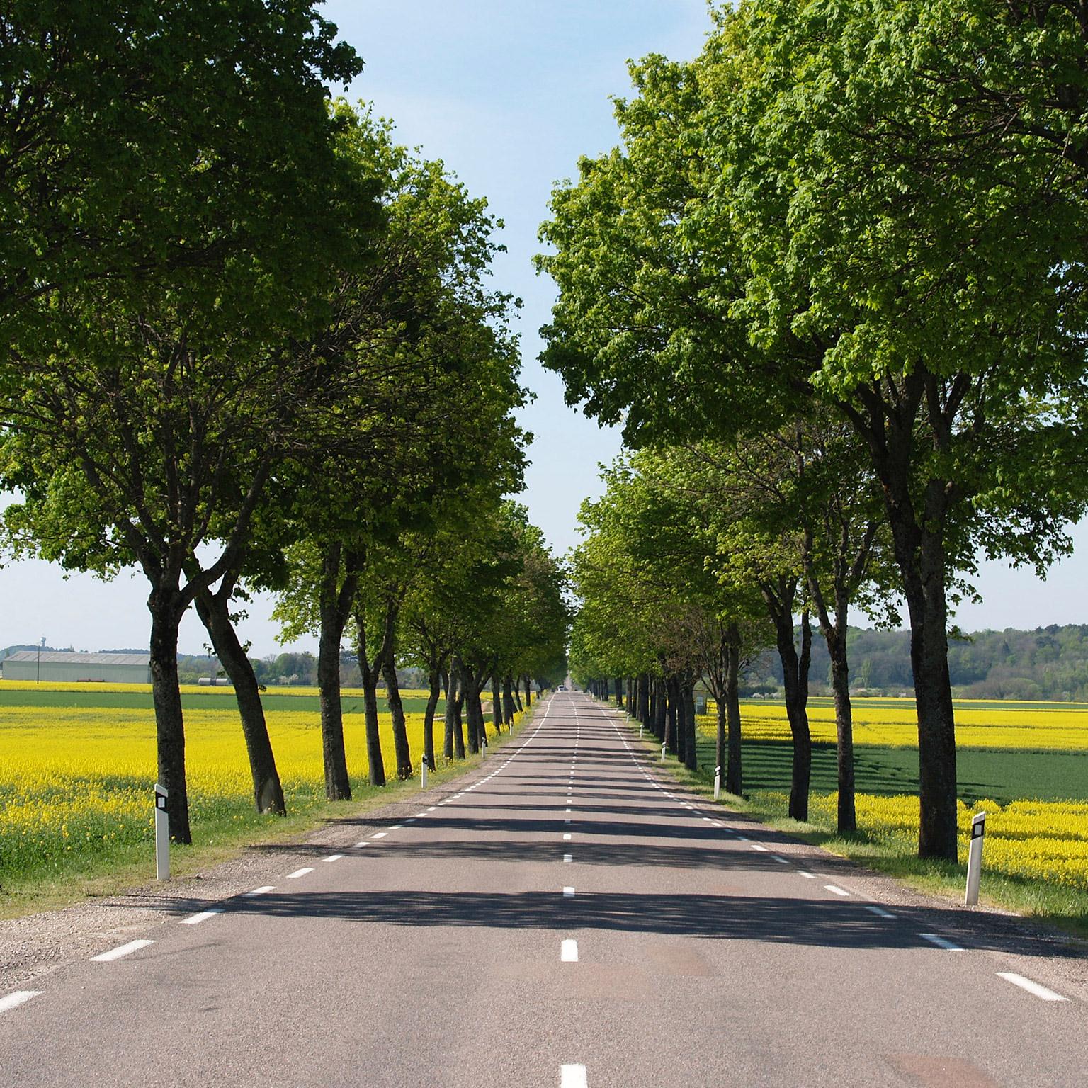 Insurance_1536x1536_Original